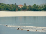 Avigliana