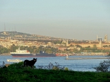 Istanbul Kadiköy