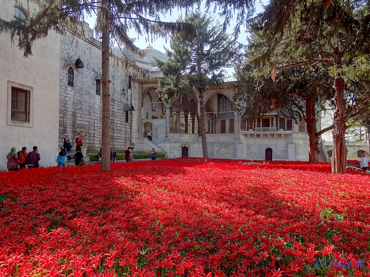 Istanbul Topkapi cour des tulipes