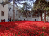 Istanbul Topkapi cour des tulipes