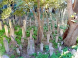 Istanbul mosquée Sokullu Mehmed Paşa