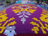 Istanbul parc Sultan Ahmet