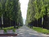 Kiev
