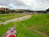 Rome circo massimo