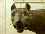 Rome musées du capitole Louve du Capitole