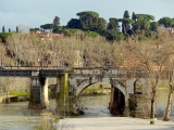 Rome rives du Tibre