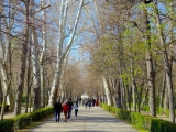 Aranjuez jardin del principe