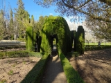 Aranjuez jardin del principe