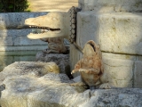 Aranjuez jardin del principe