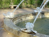 Aranjuez jardin del principe