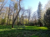 Aranjuez jardin del principe