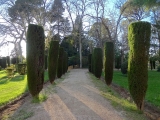 Aranjuez jardin del principe