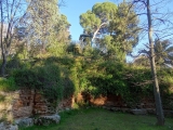 Aranjuez jardin del principe