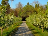 Aranjuez jardin del principe