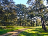 Arboretum de Chèvreloup