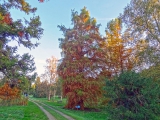 Arboretum de Chèvreloup