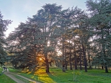 Arboretum de Chèvreloup