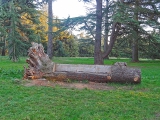 Arboretum de Chèvreloup
