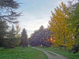 Arboretum de Chèvreloup