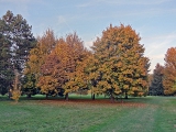 Arboretum de Chèvreloup