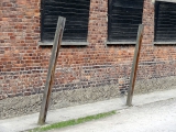 Auschwitz I Block 11