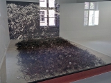 Auschwitz I Block 5