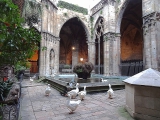 cloître de la cathédrale Sainte-Eulalie Barcelone