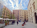 Barcelone citutat vella