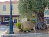 Beaulieu-sur-mer