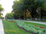 Belgrade Tašmajdan