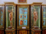 DSC07248
