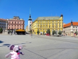 Brno Svobody