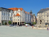 Zelny trh Brno