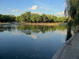 Budapest bois de ville