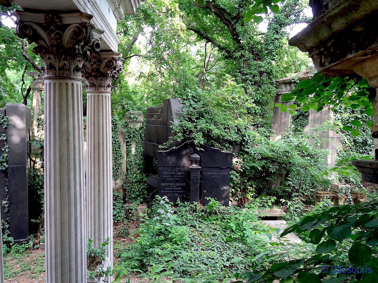 Budapest vieux cimetière juif