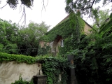 Budapest vieux cimetière juif