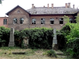 Budapest vieux cimetière juif