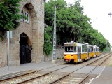 Budapest vieux cimetière juif