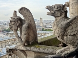Gargouilles de la cathédrale Notre-Dame de Paris