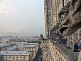 Gargouilles de la cathédrale Notre-Dame de Paris