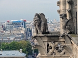 Gargouilles de la cathédrale Notre-Dame de Paris