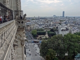 Gargouilles de la cathédrale Notre-Dame de Paris