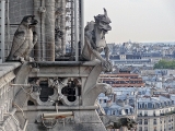 Gargouilles de la cathédrale Notre-Dame de Paris