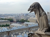 Gargouilles de la cathédrale Notre-Dame de Paris