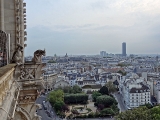 Gargouilles de la cathédrale Notre-Dame de Paris