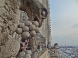 Gargouilles de la cathédrale Notre-Dame de Paris