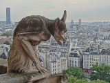Gargouilles de la cathédrale Notre-Dame de Paris