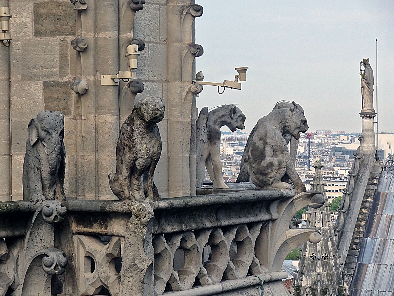 Gargouilles de la cathédrale Notre-Dame de Paris