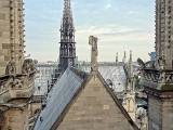 Nef de la cathédrale Notre-Dame de Paris