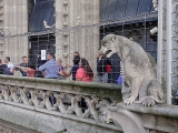 Gargouilles de la cathédrale Notre-Dame de Paris